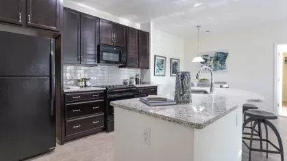 A modern kitchen featuring dark cabinets, granite countertops, and stainless steel appliances, with a decorative vase and books on the island.