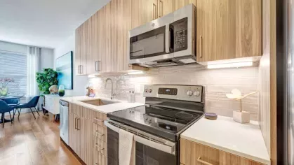 A well-designed kitchen featuring stainless-steel appliances, quartz countertops, and elegant wood cabinetry for a modern touch.