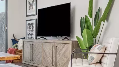 Cozy TV area with a natural wood console, potted greenery, and decorative framed art.
