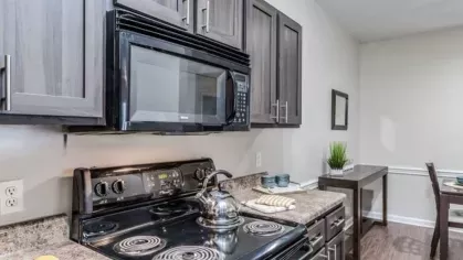 Modern kitchen with dark cabinetry, granite countertops, and stainless steel appliances at The Landings of Conroe Luxury Apartments.