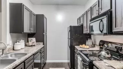 Modern kitchen with dark cabinetry, granite countertops, and stainless steel appliances at The Landings of Conroe Luxury Apartments.