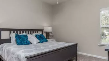 Bedroom with a large dark wood bed, soft bedding, and blue accent pillows, offering a tranquil retreat.