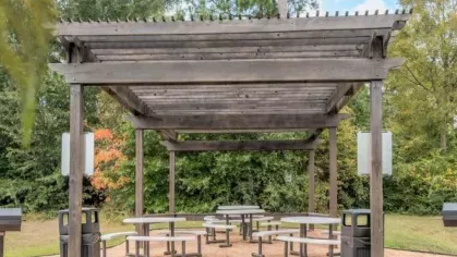 Outdoor picnic area at The Landings of Conroe, showcasing a wooden pergola with round tables, seating, and convenient grills amidst a natural green setting.