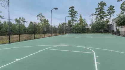 Well-maintained basketball court at The Landings of Conroe, with green painted surface, basketball hoops, and surrounding trees.