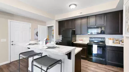 Spacious and well-lit kitchen with sleek black cabinetry, modern appliances, and a stylish breakfast bar.