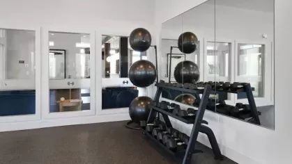 A dedicated weightlifting area with a full rack of dumbbells, exercise balls, and a mirrored wall for form correction.