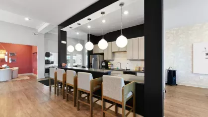 A modern kitchen and bar area in the Lawndale Commons clubhouse, showcasing elegant lighting, stainless steel appliances, and a stylish black and beige color scheme.