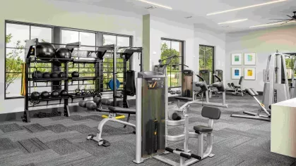 A state-of-the-art fitness center with floor-to-ceiling windows, featuring strength training equipment, TRX bands, medicine balls, and modern exercise machines.