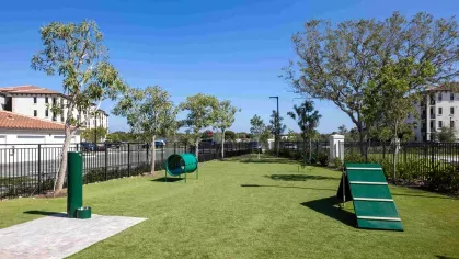 A fenced-in dog park with open green space, agility obstacles, and shaded areas for pets to run and play at Locklyn West Palm.
