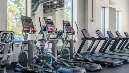 Cardio area with ellipticals and treadmills in a bright gym with large windows.