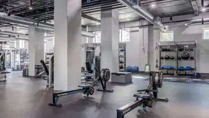 Spacious fitness room with rowing machines and versatile training stations.