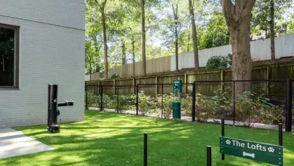 Fenced dog play area with green turf and training obstacles.