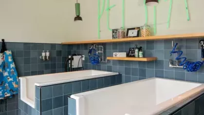 A pet spa with blue-tiled dog wash stations, neon signage, and grooming amenities on display.