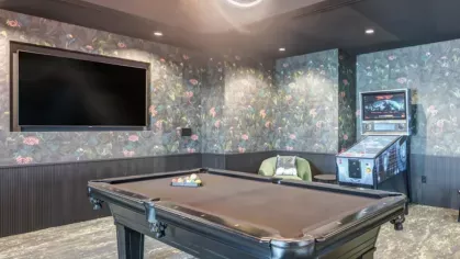 Cozy entertainment room with a pool table, pinball machine, and large TV.