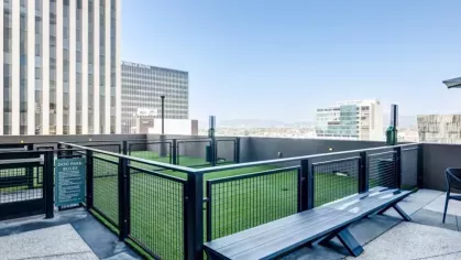 Rooftop dog park with secure fencing and city skyline views.