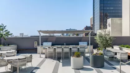 Outdoor kitchen and dining area with modern grills, seating, and potted greenery against a backdrop of city buildings.