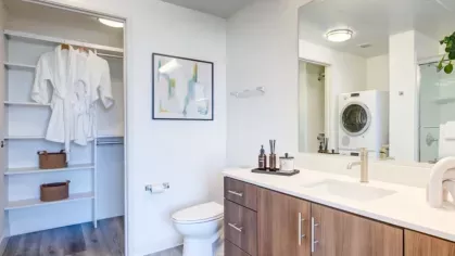 Modern bathroom with wood cabinetry, a large mirror, and access to a spacious closet.