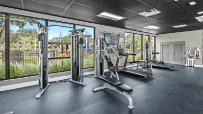 A luxurious fitness space equipped with cardio machines and weight training stations, offering scenic views of the outdoor play area.