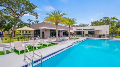 A sparkling blue swimming pool surrounded by palm trees, luxury lounge chairs, and shaded seating areas for ultimate relaxation at Oak Enclave.