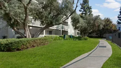 Walking path through a well-maintained lawn with mature trees and apartment buildings in the background.
