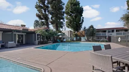 Poolside view at Olive Ridge Apartments with a spacious swimming pool, outdoor seating, and tall trees under a clear sky.