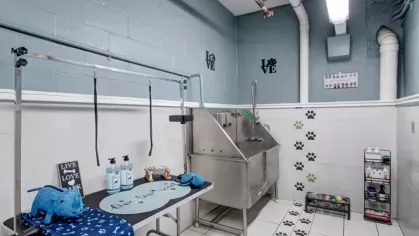 A pet grooming station with a stainless steel tub, grooming table, and tiled floor adorned with paw prints.