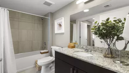 A luxurious bathroom featuring a granite countertop, framed mirror, and a combination tub-shower, designed with neutral tones for a serene atmosphere.