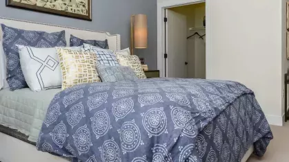 Modern bedroom with cozy daybed, decorative pillows, and a spacious walk-in closet at Riverworks Luxury Apartments.