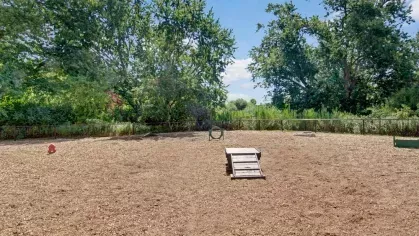 A fenced dog park surrounded by lush greenery, complete with obstacles and play areas for pets.