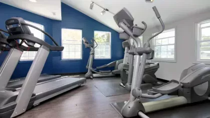 A modern fitness center with treadmills and elliptical machines, featuring bright windows and a bold blue accent wall.