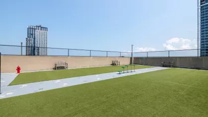 Spacious outdoor dog park with artificial turf, benches, and a skyline view, perfect for pets to enjoy.