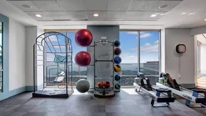 Fitness area with a variety of exercise equipment, including colorful medicine balls and rowing machines, against a backdrop of scenic views.