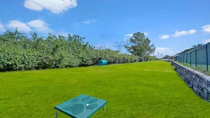 Expansive dog park with green grass, a paw-print platform, and a stone wall border.