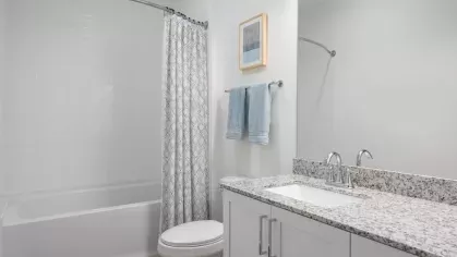 A bright and elegant bathroom with white cabinetry, granite countertops, and a bathtub with a patterned shower curtain, creating a clean and contemporary space.
