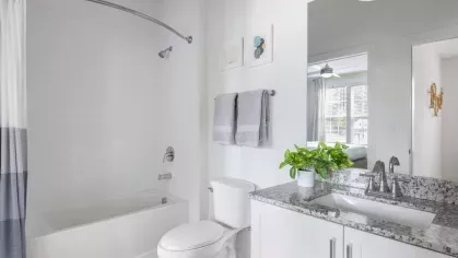 A bright and elegant bathroom at Vista At Town Green, showcasing white cabinetry, a granite countertop, a well-lit vanity mirror, and a bathtub with a curved shower rod.