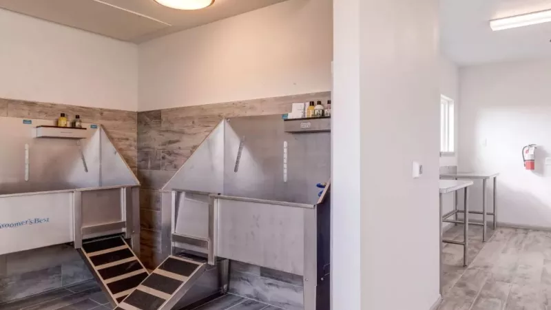 Pet grooming station at The Emerson at Forney with professional-grade washing facilities and a clean, welcoming environment.