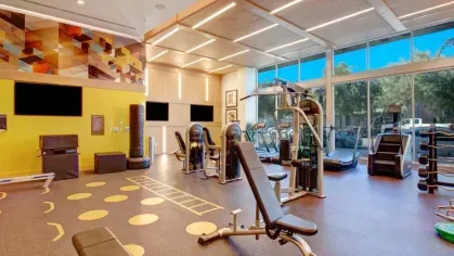 Well-equipped gym at The Linden Luxury Apartments featuring modern workout equipment, large windows, and natural lighting.