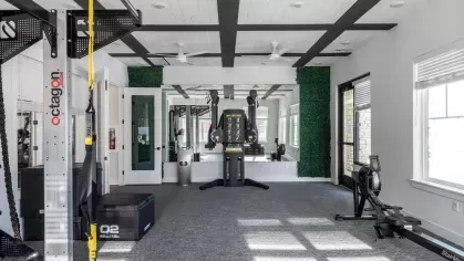 State-of-the-art fitness center with modern strength training equipment, mirrored walls, and natural light creating an inviting workout environment.
