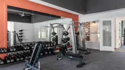 Strength training zone with free weights, resistance machines, and a full-length mirror wall for an immersive workout experience.