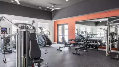 Modern gym with advanced fitness machines, weight benches, and a dynamic mix of natural and accent lighting.