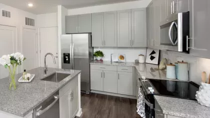 Modern kitchen with stainless steel appliances, granite countertops, and sleek gray cabinetry.
