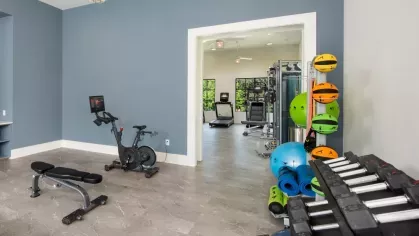 A fitness room with free weights, exercise balls, a stationary bike, and a sleek blue accent wall.