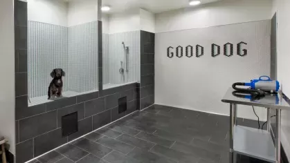  A pet grooming room with dark tile floors, a washing station, and 'Good Dog' signage on the wall.