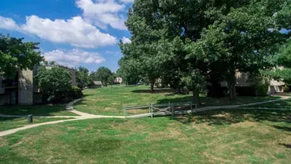 Spacious green courtyard at Forest Creek Apartments with mature trees, walking paths, and serene natural surroundings