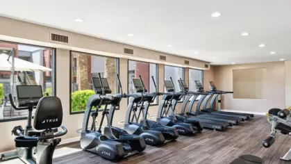 Bright fitness center with large windows, treadmills, and exercise machines on wood-style flooring.