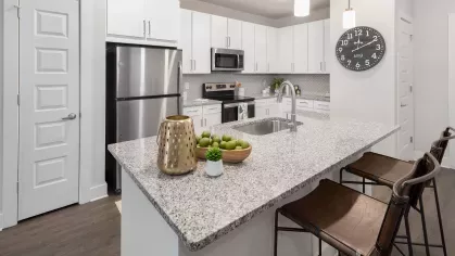 Parc at Wesley Chapel _01