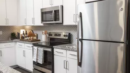 Parc at Wesley Chapel _09