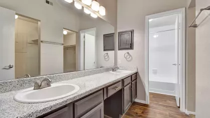 Bathroom with dual sinks, granite-style counters, dark cabinetry, and adjacent walk-in closets