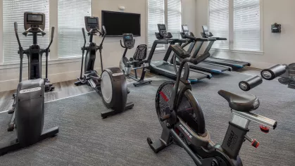 Parc at Wesley Chapel _25