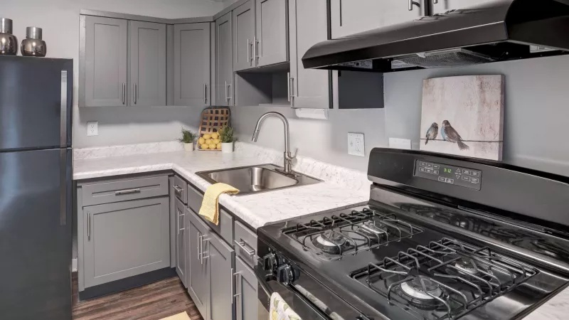 Modern kitchen with dark gray shaker cabinets, sleek hardware, marble-style countertops, black appliances, and wood-style flooring, creating a stylish and functional cooking space.
